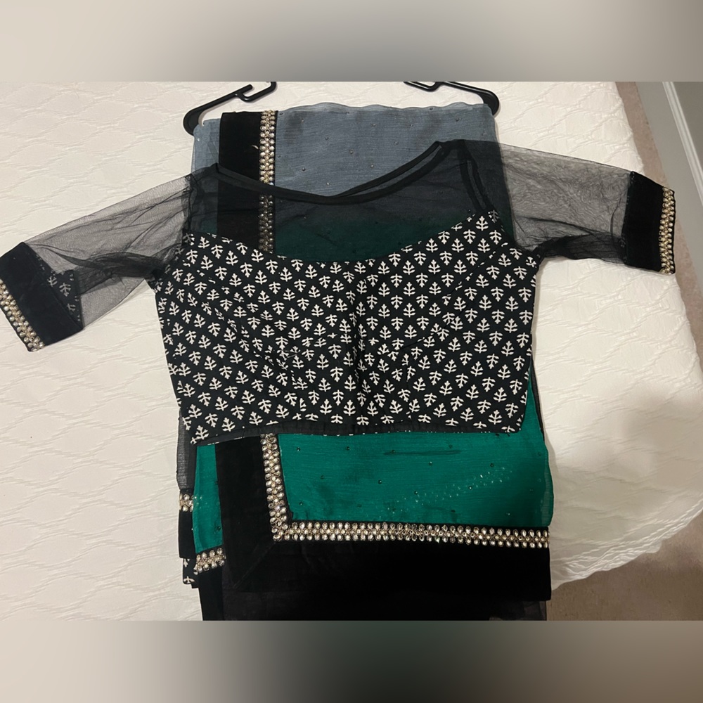 Indian saree with matching blouse